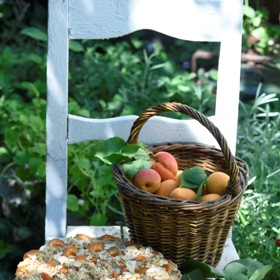 Ovocný koláč z dvouzrnkové mouky se na vás směje už z dálky.