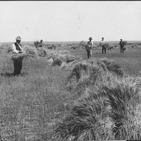 Jenomže počáteční nadšení vystřídala tvrdá srážka s realitou.