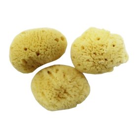 Menstruační houba, Breberky.cz, 159 Kč