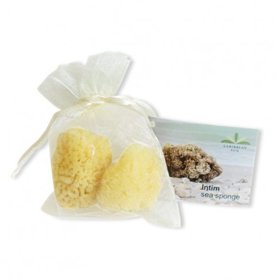 2 menstruační houby. Greenstore.cz, 199 Kč