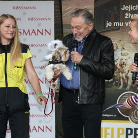 Karel Gott rád dával najevo svou lásku k pejskům i veřejně. Sám měl doma fenku zlatého retrívra Stellu.