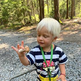 Najít houbu, natožpak hříbek, je podle Venduly pár sekund čistý radosti.