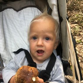 Minulý rok si Pepíček houby prohlížel a očuchával.