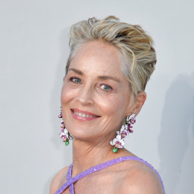 Stone si musela po mrtvici nechat napíchat do tváře 300 injekcí botoxu, od té doby na něj zanevřela...