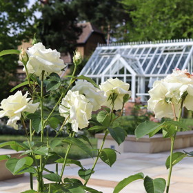 Zahrada Taťány le Moigne je plná květin, útulných zákoutí a také zeleniny. Nechybí slepice nebo včely. Na podrobnou reportáž se u nás brzy můžete také těšit.