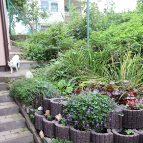 Za domem vede cesta na prostornou zadní zahradu. Za ní už je pouze les.