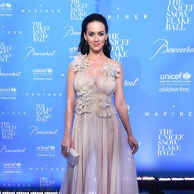 Zpěvačka Katy Perry se změn barev a účesů nebojí. Delší tmavé vlasy však nosila poměrně dlouho.