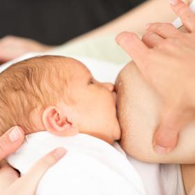 Základem je správné přisátí dítěte k prsu. Maminka by měla držet prso ze široka a do oblasti dvorce nezasahovat, aby se mohlo dítě k bradavce s dvorcem přisát.