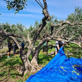 Jak tvrdí Klára Doležalová, jde spíše o srdcovou záležitost, než o výnosné podnikání.