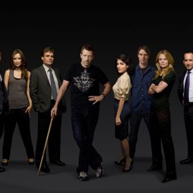 Gregory House vede tým diagnostiků, kterým dovede pořádně zatopit svým přístupem.