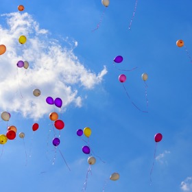 Ke kurióznímu porušení zákona došlo na lodi v Biscayne Bay v Miami, kde budoucí ženich Tom Rivas poklekl před svou vyvolenou s žádostí o ruku. Poté byly do vzduchu vypuštěny balónky. Maximální počet je však pouze deset kusů, což bylo překročeno. Želvy si totiž mohou balónky splést s medúzami a pozřít je. Výsledek? Pokuta ve výši 23 000 dolarů.