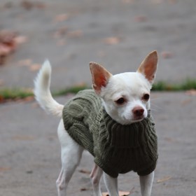 Čendovi sluší také khaki svetřík.