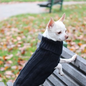 Čenda v černé variantě, která je nejelegantnější.