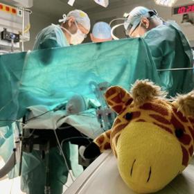 Virtuální nebo i rozšířená realita (často v kombinaci s 3D tiskem) už v IKEM pomohla u více než stovky operací. Chirurgové se díky ní mohou lépe připravit na nejsložitější výkony u dětí i dospělých.