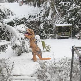 Pepíček Pizinger se už nemůže dočkat dárečků. Ale dřív než Ježíšek se u nich na zahradě objevil dinosaurus. 