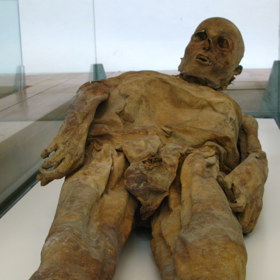 Neobvyklou míru zakonzervování mrtvol měla mít údajně na svědomí houba. O něco později se objevila teorie, že za tím byl vápenec.