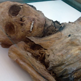 Obě teorie ale byly zpochybněny. Dodnes není známá pravá příčina toho, díky čemuž jsou mumie ve Venzone takto zachovalé.