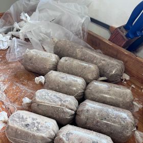 Na narozeninové zabijačce vyráběli chlapi také tlačenku...