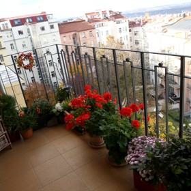 Na balkónu herečka pěstuje především muškáty.