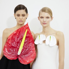 Kolekci značky Loewe na letošní jaro dominují 3D květiny, konkrétně květ toulitky.