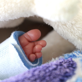 Mléko od dárkyň dostávají potřebná miminka po celé republice.