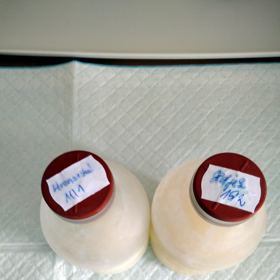 Každá lahvička je pečlivě popsaná.