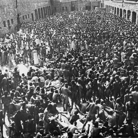 ...dezinfekci proti parazitům...