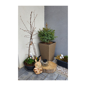 Dům Gabriely Laškové už je velikonočně nazdobený.