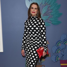 Herečka vždy patřila mezi nejkrásnější ženy světa a její matka toho uměla patřičně využít. Dnes už je Brooke se svou minulostí srovnaná.