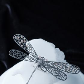 Vážka, jeden z uměleckých šperků Michala Kadaníka, které si můžete pořídit v umělecké plastice sklářky Elišky Monsportové.