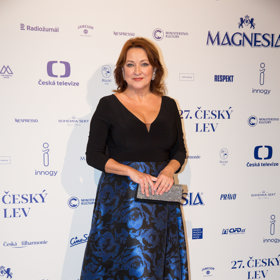 Zlata Adamovská je totiž v pohádkách jako doma. Hrála královny ve filmech Peklo s princeznou (2009), Korunní princ (2015) a O vánoční hvězdě (2020).