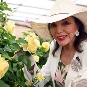 Její tipy na krásu jsou přitom velmi prosté. Například nevycházet na slunce bez kvalitní UV ochrany a klobouku se širokou krempou.