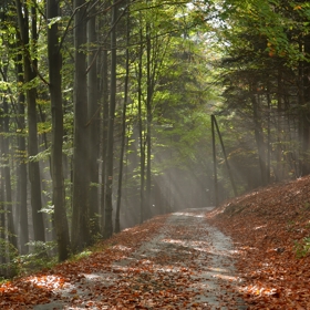 Rytířská stezka je naučná trasa dlouhá 10,5 km a prochází velmi zajímavými lokalitami horského komplexu.