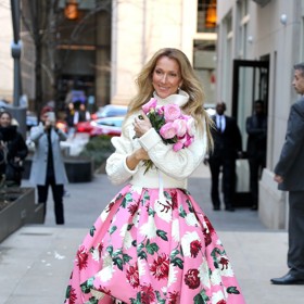 Kanadská zpěvačka Céline Dion (55), známá například hitem My Heart Will Go On, loni v prosinci oznámila, že trpí nevyléčitelnou neurologickou chorobou zvanou stiff-person syndrome. Ta způsobuje postupné tvrdnutí svalů a křeče, takže lidé, které postihla, často "zatuhnou" natolik, že se nemohou hýbat a připomínají sochy.