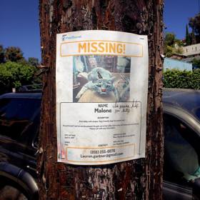 „Já mám taky duši!“ Umělec maluje na vyhozené předměty smutné klauní obličeje