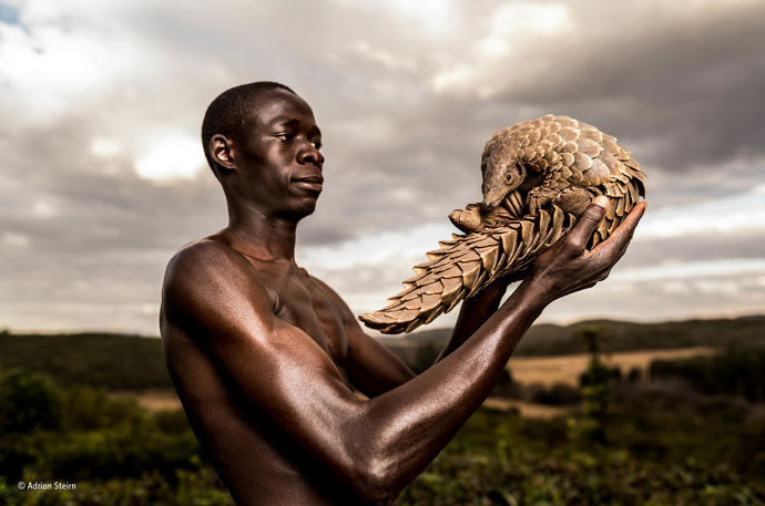 8. „Zachráněn soucitem“ („Saved By Compassion“) od Adriana Steirna z Austrálie. Finalista fotožurnalistické kategorie Samostatná fotografie.