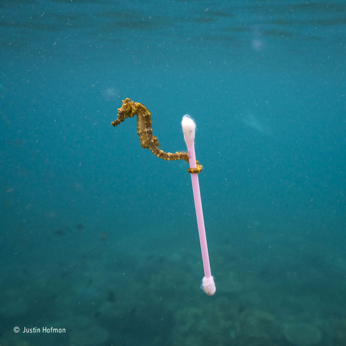 9. „Splaškový surfař“ („Sewage Surfer“) od Justina Hofmana z USA. Finalista fotožurnalistické kategorie Samostatná fotografie.