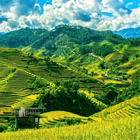 2. Mu Cang Chai, Vietnam. Před více než 600 lety si dal hmongský lid tu práci a rozoral pohoří Hoang Lien Son dle požadavků rýžových teras. Díky němu můžeme tyto působivé zelené „schody do nebes“ obdivovat i dnes. Toužíte-li svůj zrak napást bujnou zelení, věnujte pozornost ročnímu období. V závislosti na něm se barva rýžových teras mění. Tak abyste nebyli zklamáni světle hnědými či nažloutlými kopci.