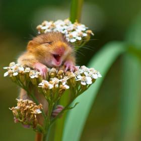 2. Andrea Zampatti – vítěz v kategorii „On The Land“ („Na zemi“).