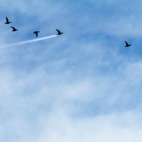 3. John Threllfall – vítěz v kategorii „In The Air“ („Ve vzduchu“).