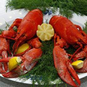 Humr obsahuje především zinek, který se zdravým mužský libidem spojován.