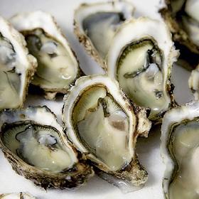 Milovníci sexu by se o ústřice neměli ochudit.