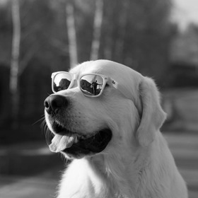 Je také skvělým parťákem