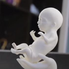 Variant modelu je mnoho.