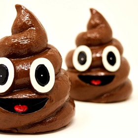 Koprofalie je náklonost a vzrušení z výkalů... Proti gustu...