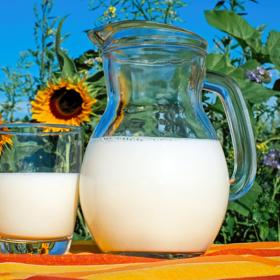 I mléko je nebezpečné.