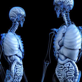 tělo je úžasný vynález