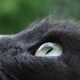 DOkáží do člověka prohlédnout