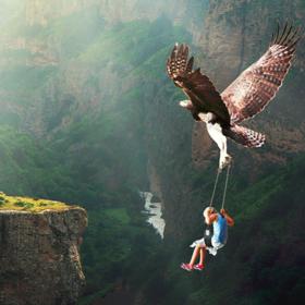 Sen o hadech je někdy nepříjemný.