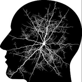 Některé experimenty jsou skutečně šílené.